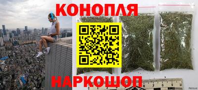 таблы Новозыбков