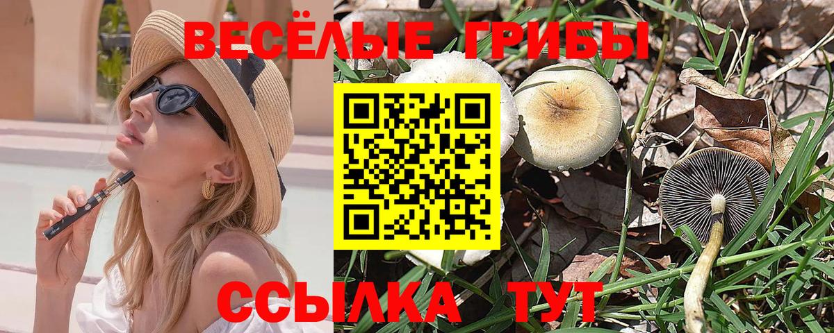 Псилоцибиновые грибы ЛСД Омск