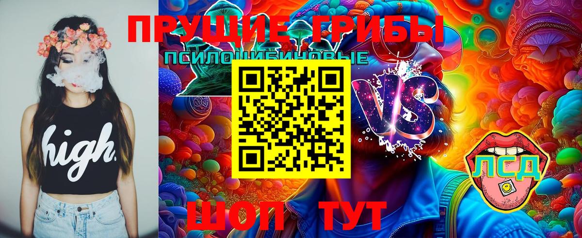 Омск  Галлюциногенные грибы Magic Shrooms  Вход с VPN 